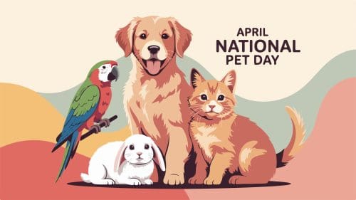 National pet day celebration